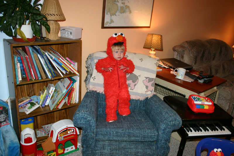 Picture 7196