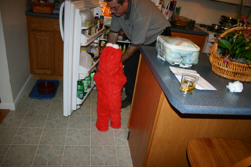 Picture 7202