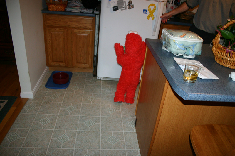 Picture 7203