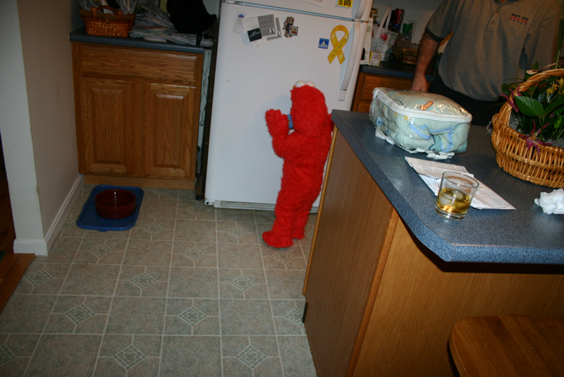 Picture 7204