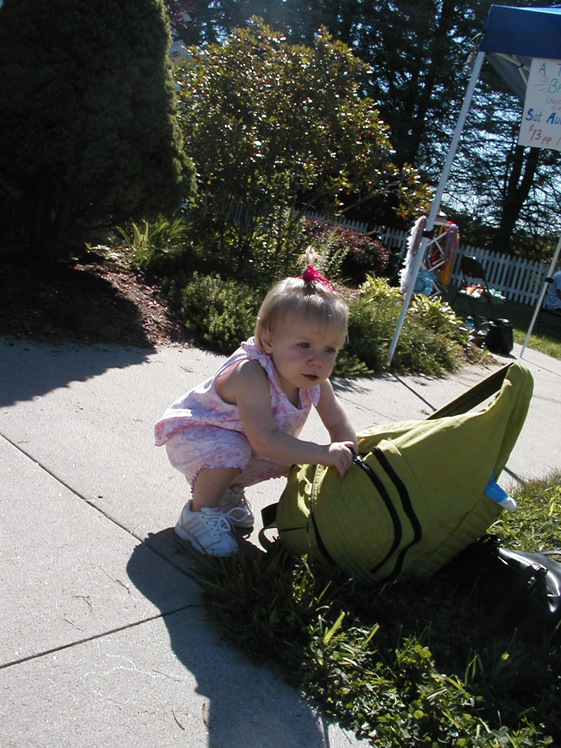 Picture 5342