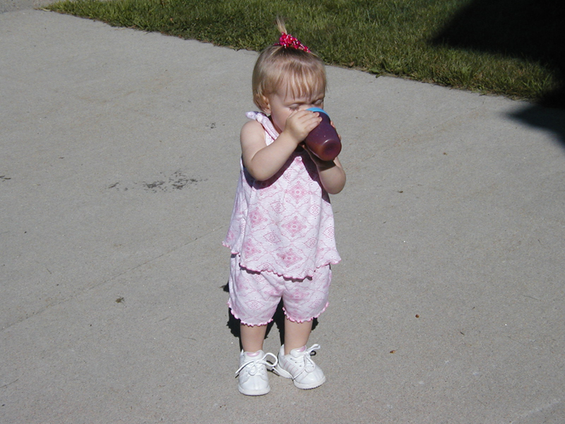Picture 5345