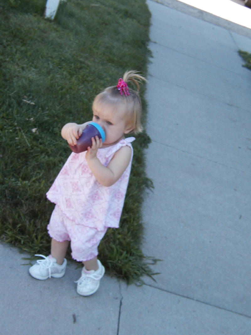 Picture 5346