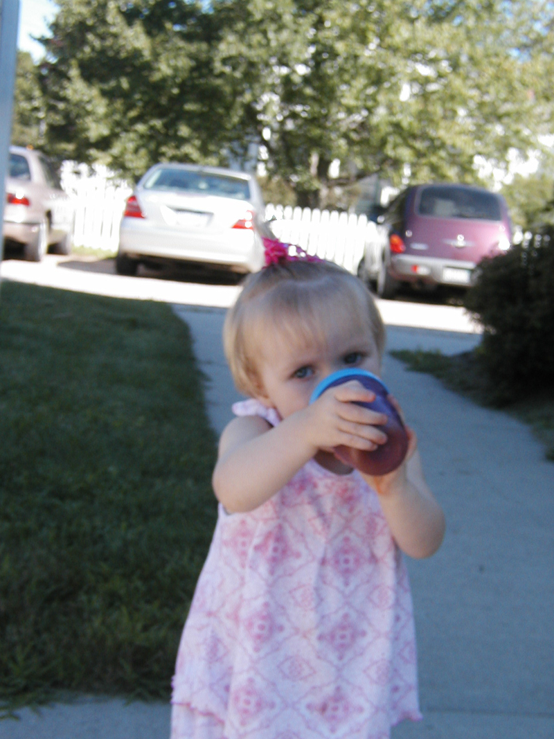 Picture 5347