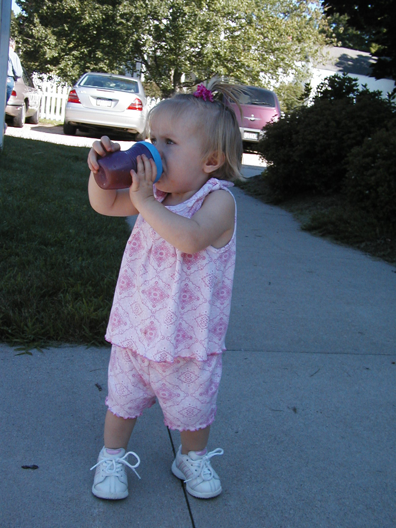 Picture 5348