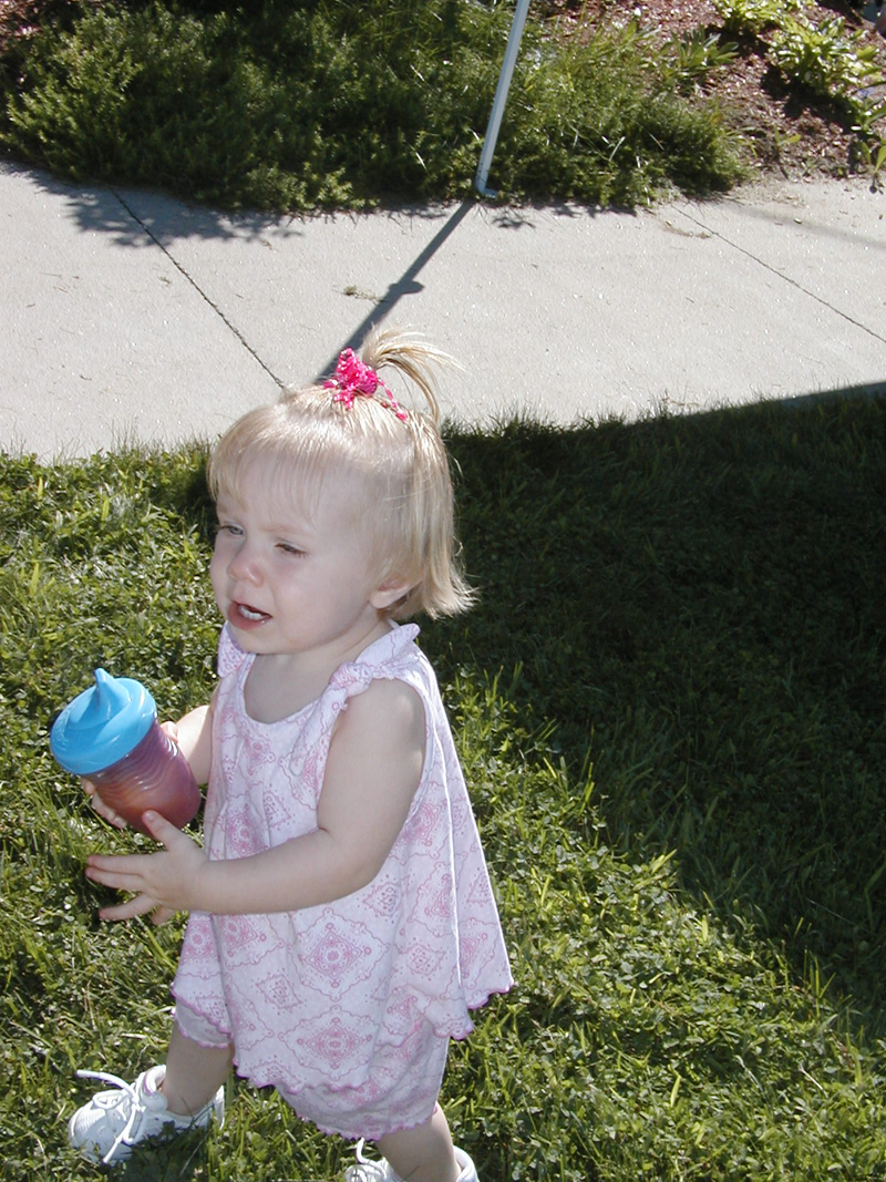 Picture 5349