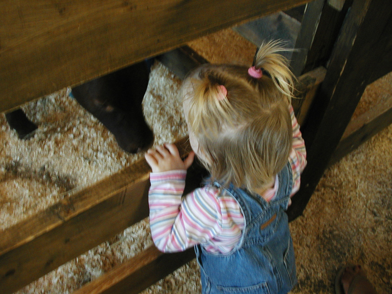 Picture 6599