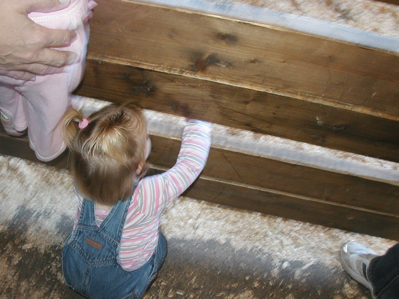 Picture 6603