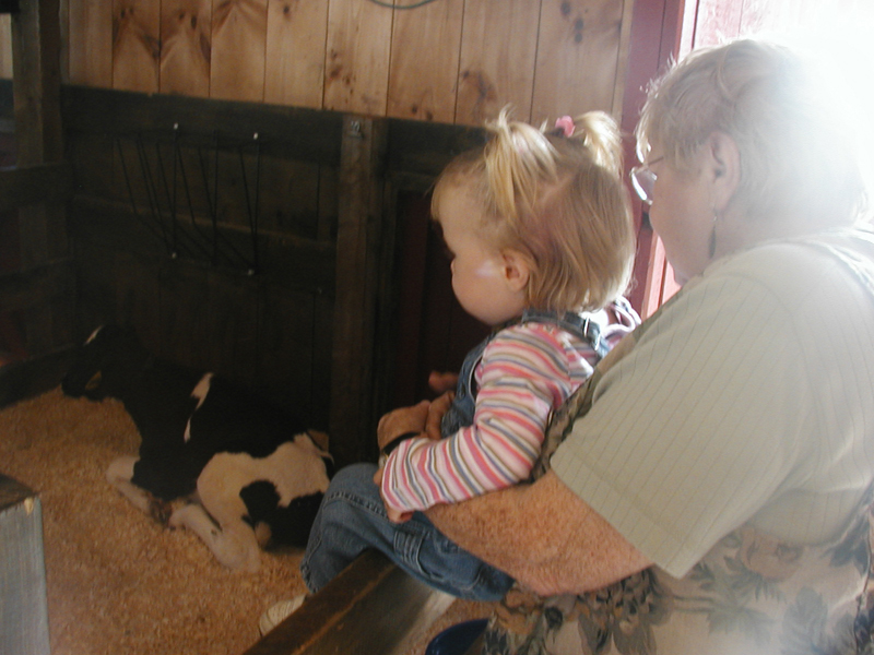 Picture 6618