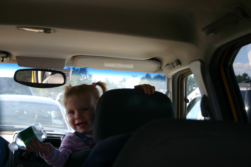 Picture 6638