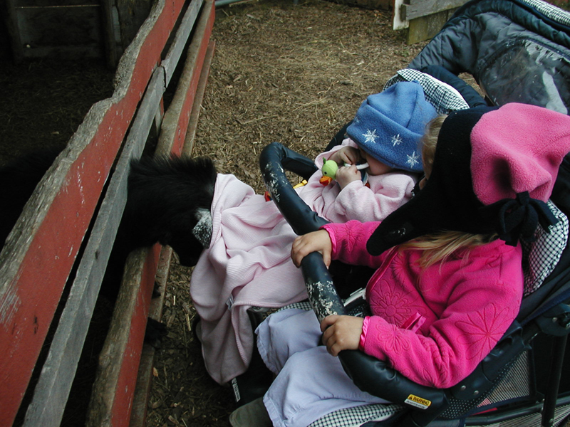 Picture 022