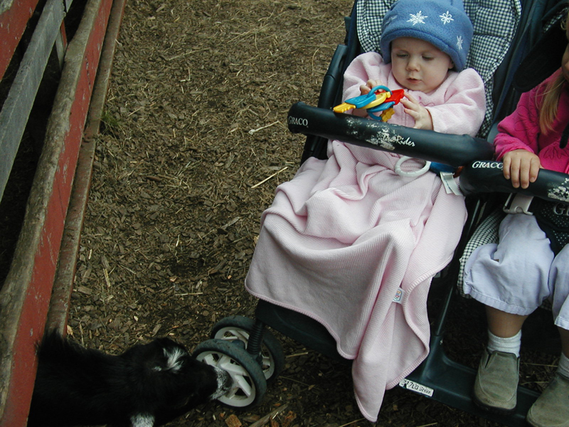 Picture 027