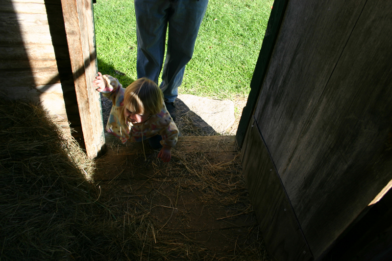Picture 6993