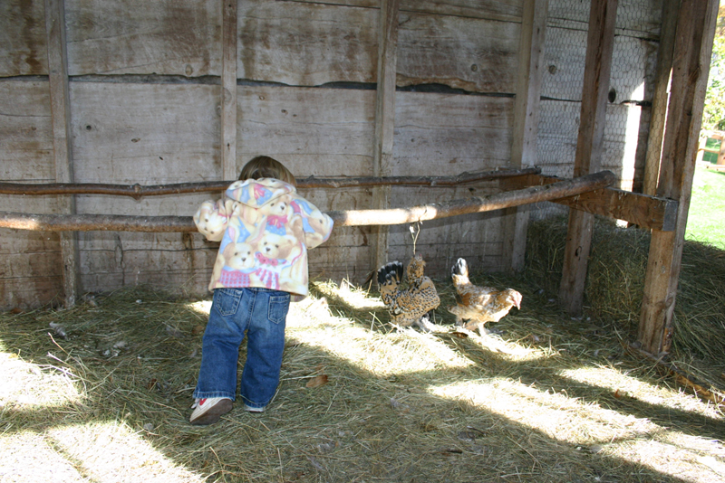 Picture 7004