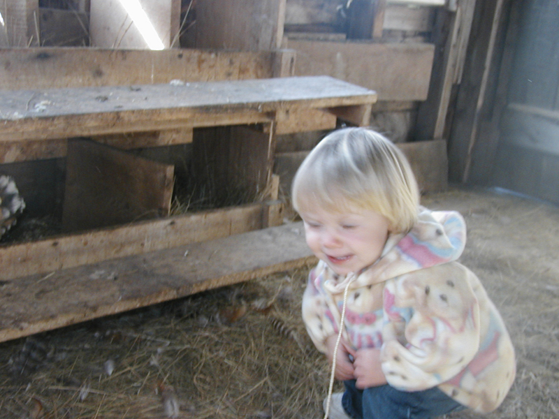 Picture 7018