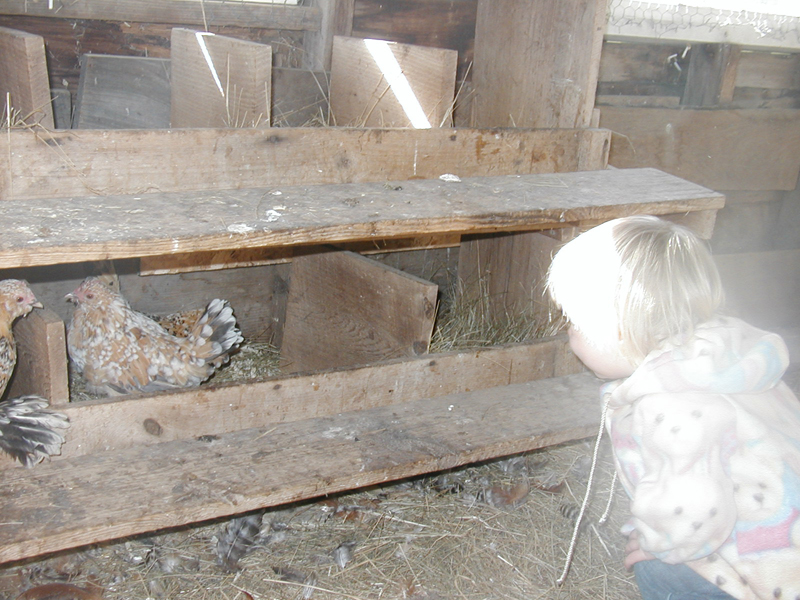 Picture 7019