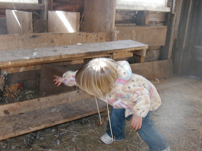 Picture 7021