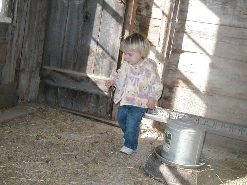 Picture 7022