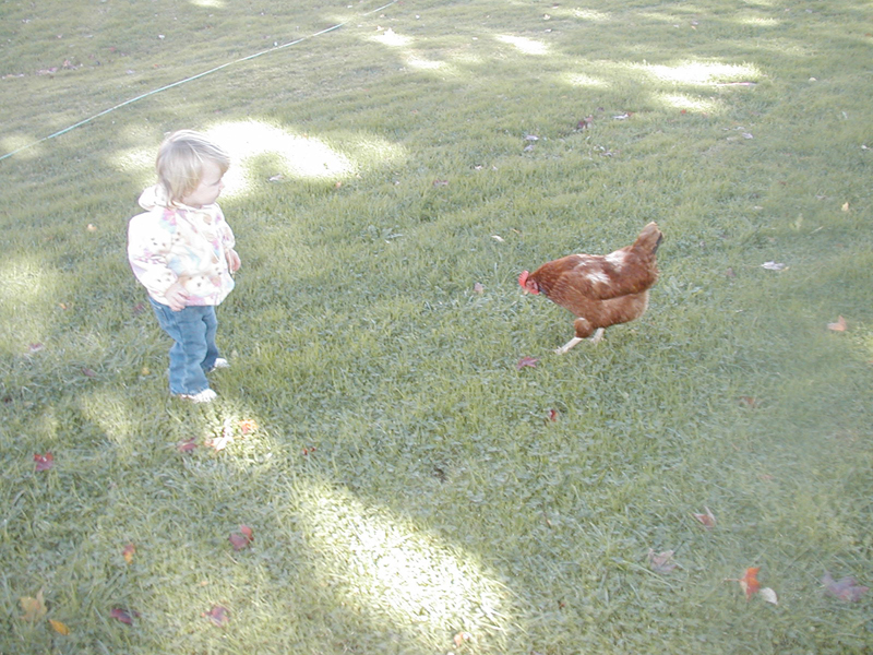 Picture 7025
