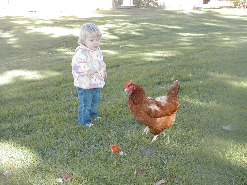 Picture 7026