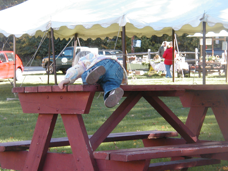 Picture 7029