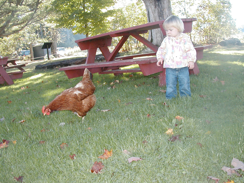 Picture 7032