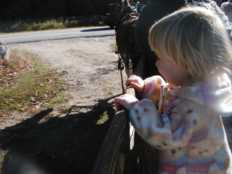 Picture 7062