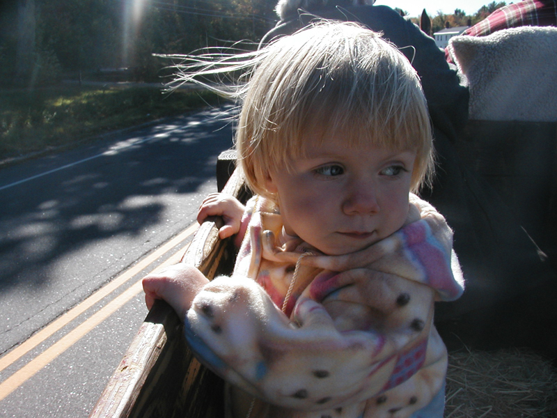 Picture 7063