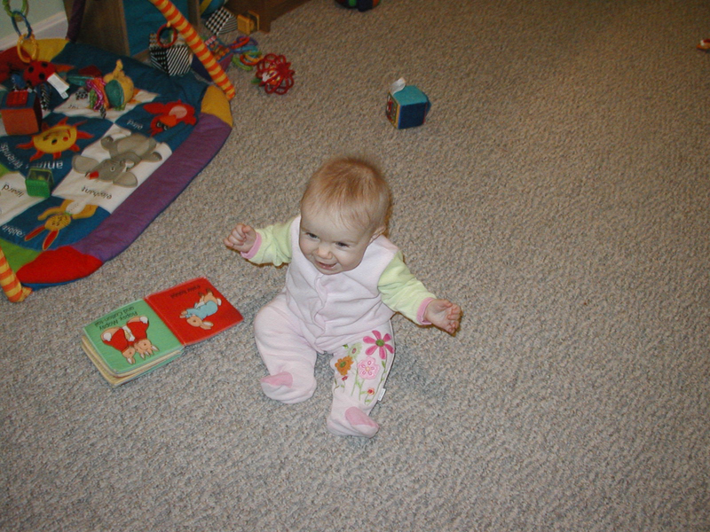 Picture 638