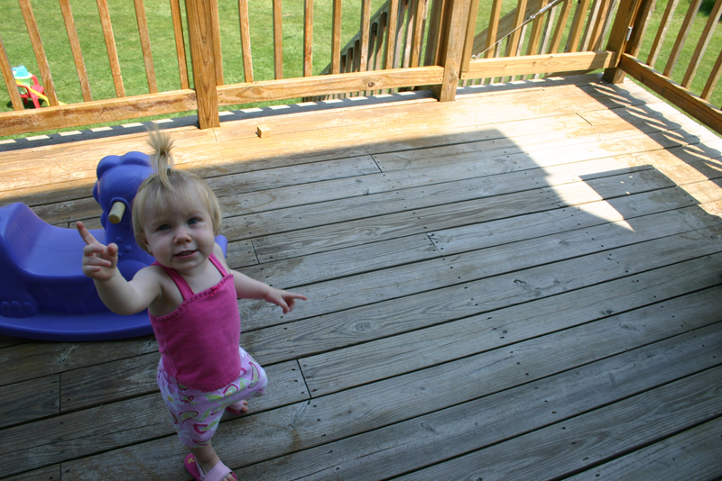 Picture 5271