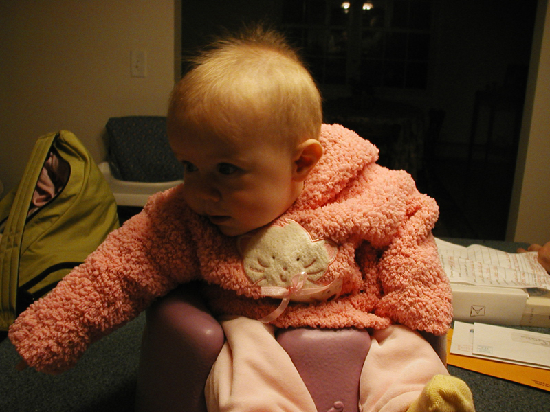 Picture 038