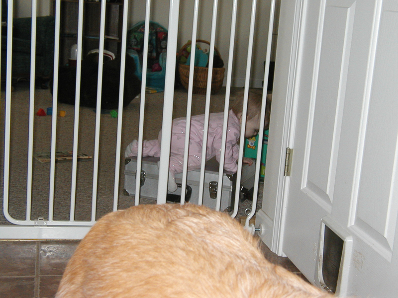 Picture 1384