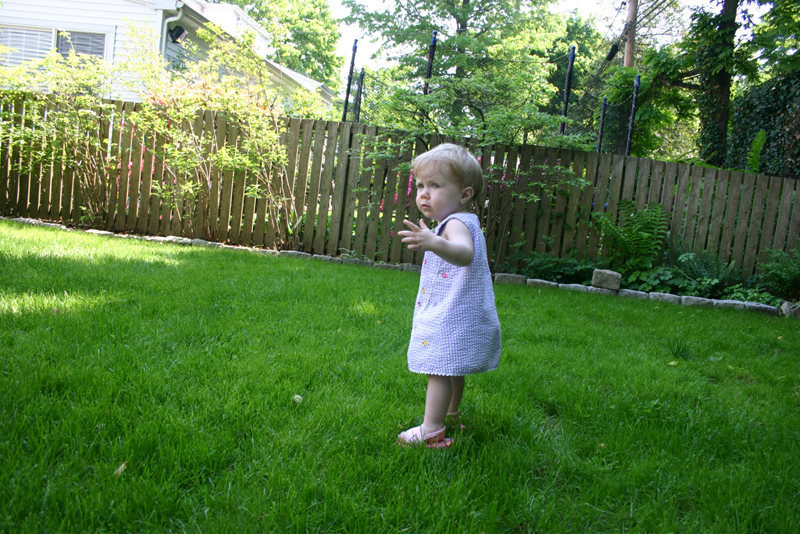 Picture 2793