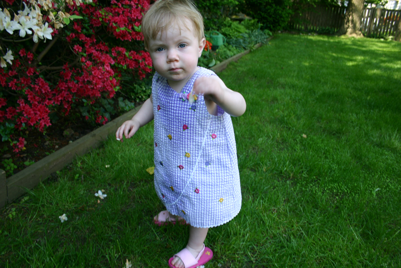 Picture 2796