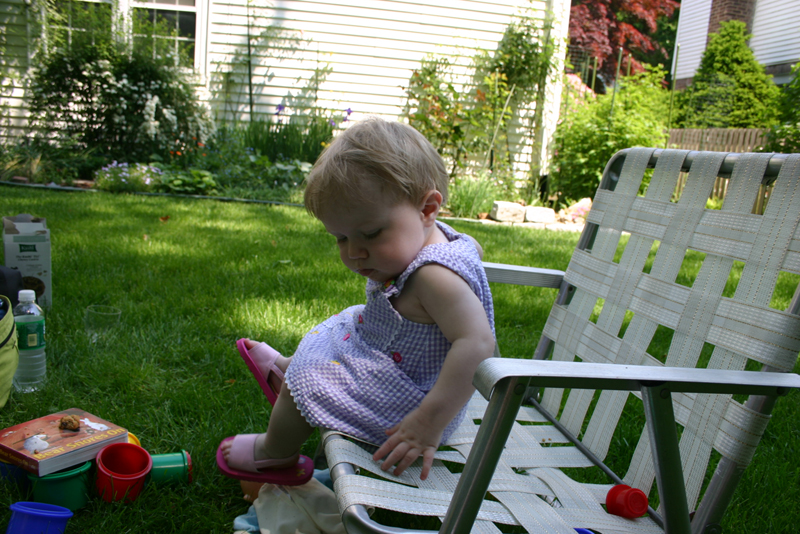 Picture 2925