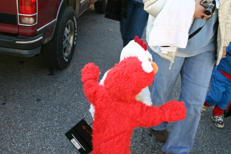 Picture 8136