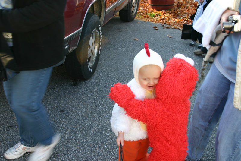 Picture 8137