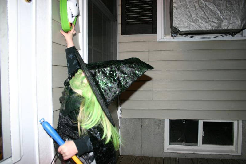 Picture 16576