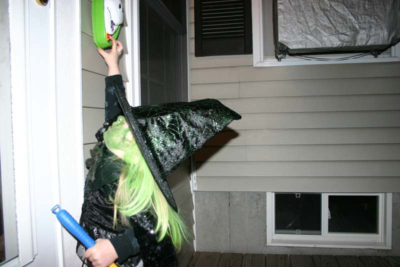 Picture 16577