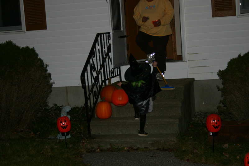 Picture 16581