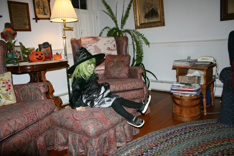 Picture 16593