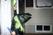 Picture 16577