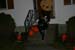 Picture 16581
