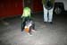 Picture 16589