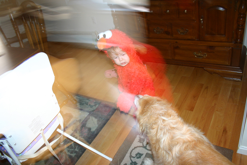 Picture 8192