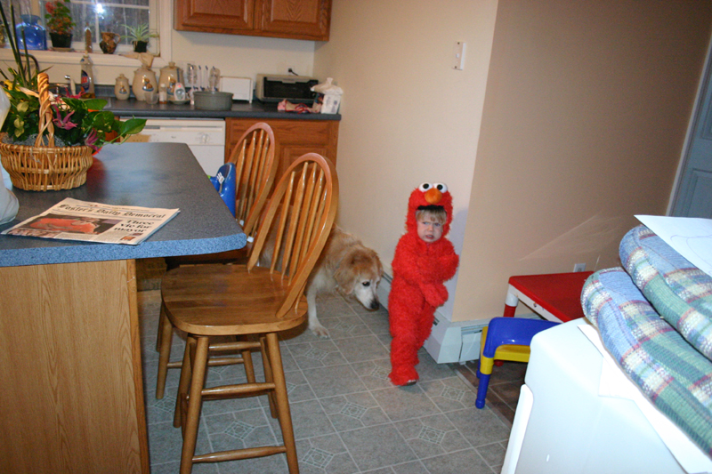 Picture 8196