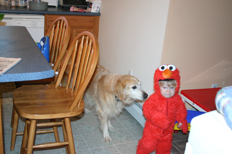 Picture 8197