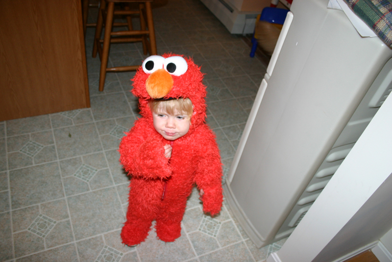 Picture 8198