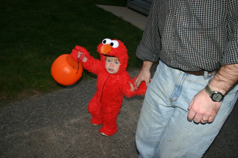 Picture 8204