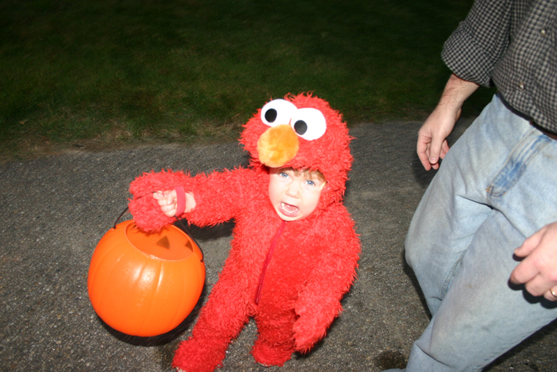Picture 8205